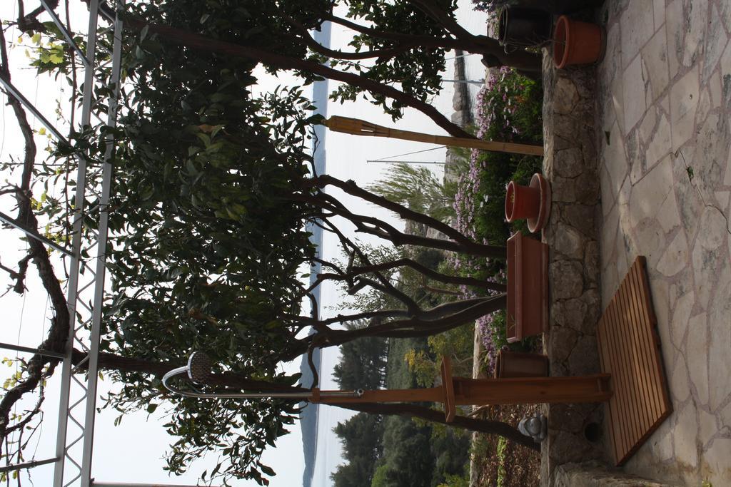 Villa Marijam Hvar Town Exteriör bild